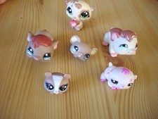 lot de 6  petshop hamster