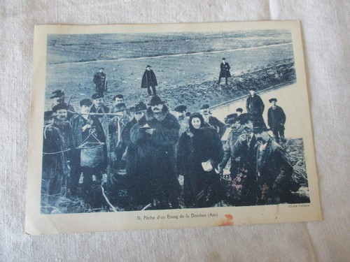 Planche cartonnee educative - planche,