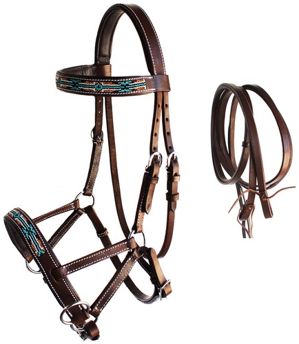 Horse western english - horse,