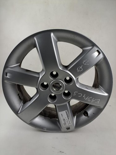 Jante nissan trail phase - x-trail, 1