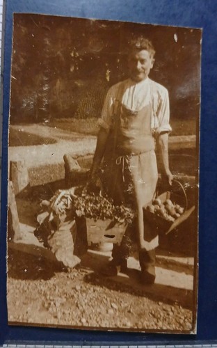 Légumes potager 1925 - légumes,
