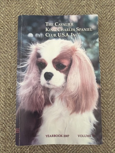 The cavalier king charles - cavalier,