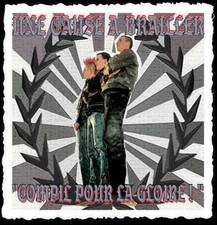 UNE CAUSE A BRAILLER compil