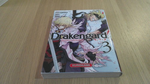Manga drakengard destinées - -,