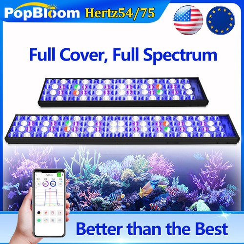 Lumière aquarium popbloom - lumière, d'aquarium