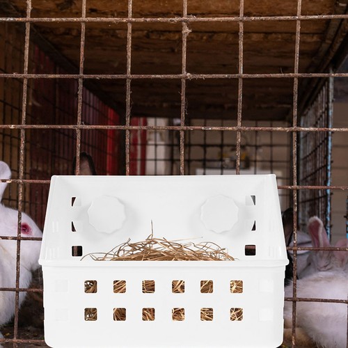Reusable rabbit feeder white - rabbit,
