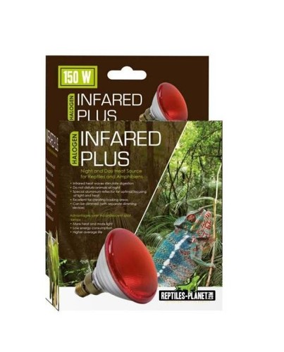 Ampoule chauffante reptiles - ampoule,