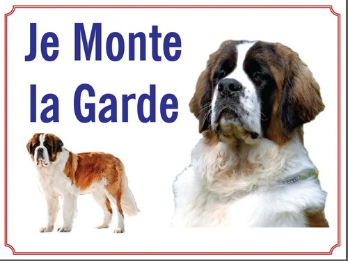 Attention chien je monte - au,