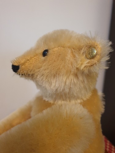 Rare grand ours - rare, record