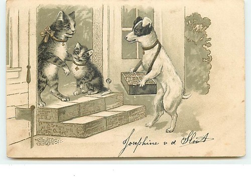Carte gaufrée chien et - carte,