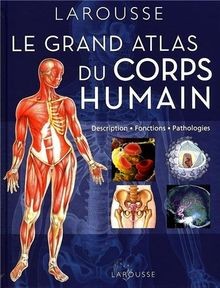 Grand atlas corps humain - grand,