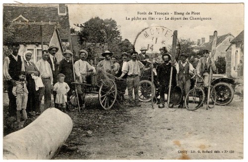 Cpa forêt tronçais - cpa,