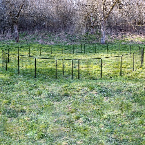 Parc enclos cage chiots - chiots, chiens
