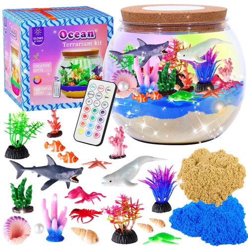 Gifmore ocean terrarium kit - gifmore,