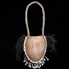 Asmat Dani Bailer Shell Necklace Headhunter Papua New Guinea Pendant Tribal Art
