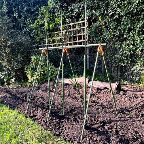 Cage tomates support de - cage,