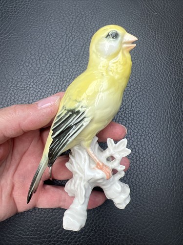 Karl ens porcelaine - karl,