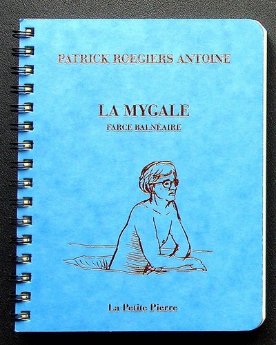 Mygale farce balneaire - la,