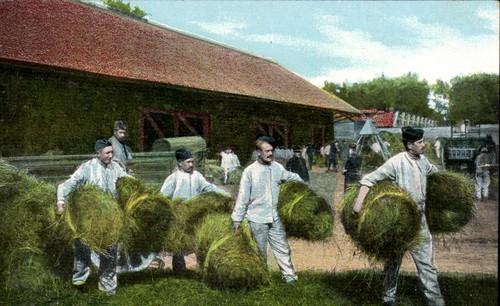 Travail des moissons - , —