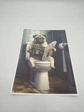 Affiche Chien Carlin WC Drôle