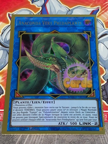Carte anaconda vert - carte, yu