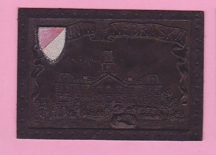 c1910s large tobacco leather