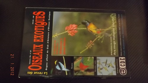 Revue oiseaux exotiques - oiseaux,