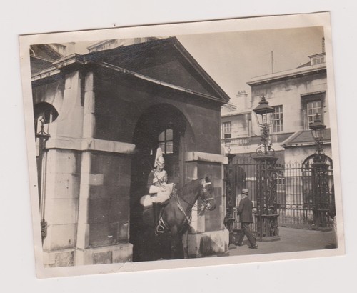 Photo ancienne horse - photo, 🎞️