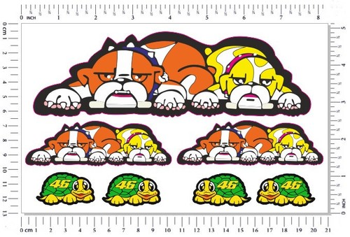 Valentino rossi chien tortue - valentino,