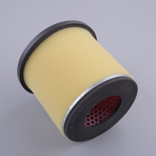 Filtre air pour suzuki king - pour,