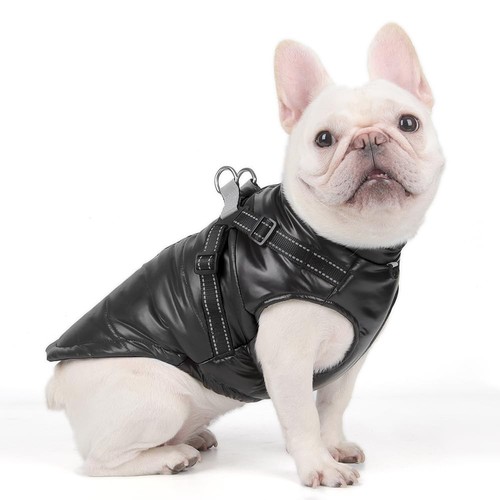 Chien chat manteaux vestes - chat,