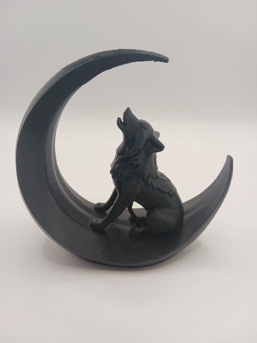 Renard noir sur - , de