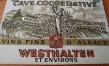   VIN D'ALSACE /WESTHALT / CELLAR / ADVERTISING CARDBOARD /PUB ADVERTISING OLD  