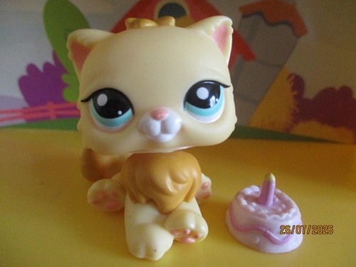 Petshop Chat Persan #2063 +