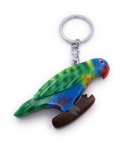 Lori oiseau bleu - oiseau, vert