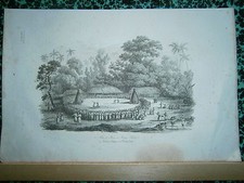 gravure 1839  Océanie Dumont