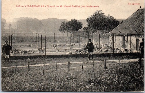 Villenauxe chenil de m - chenil,
