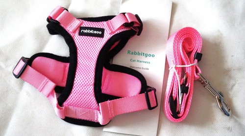Harnais laisse taille - harnais,