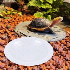 Tortue de bain piscine aquatique escalade animal de compagnie aquarium