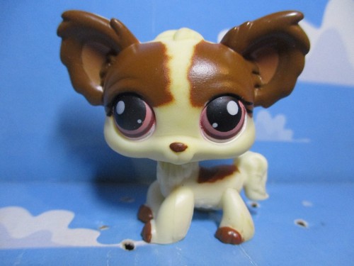 Petshop chien papillon 385 - chien,