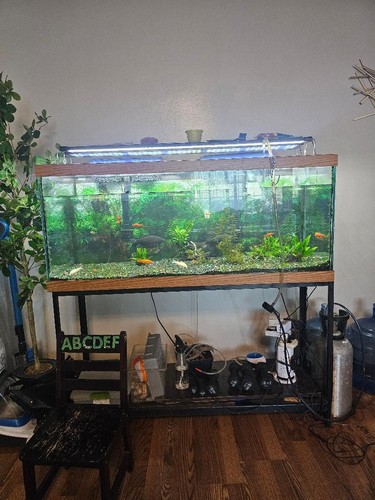 Gallon aquarium metal - gallon,