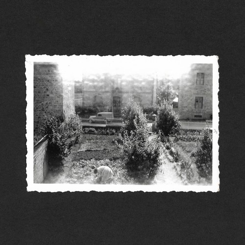 Femme jardine cour - , jardin