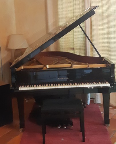 Piano quart queue noir - piano,