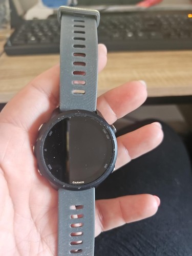 Garmin forerunner 245 - garmin,