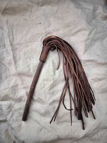 Martinet vêtements petit - martinet,