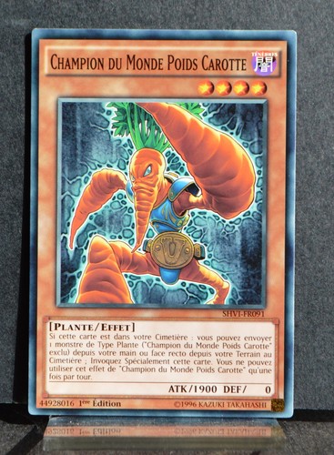 Carte shvi fr091 - yu-gi-oh, shvi-fr091