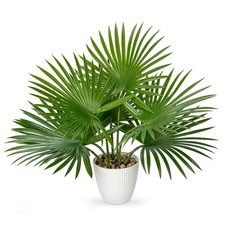 Palmier artificiel en pot 38