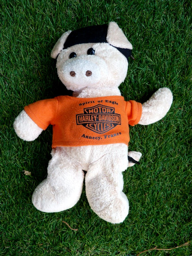 Peluche cochon harley davidson - peluche,