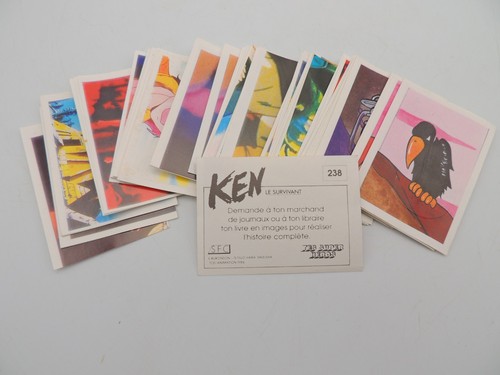 Panini ken survivant - ken,