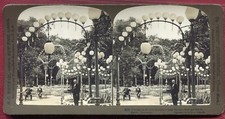 stereo photo.Kroll Garden. Berlin . Germany